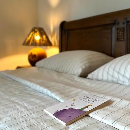 Laurel & Hardy - Old Center *